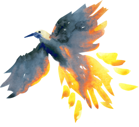 2026 Flame Phoenix
